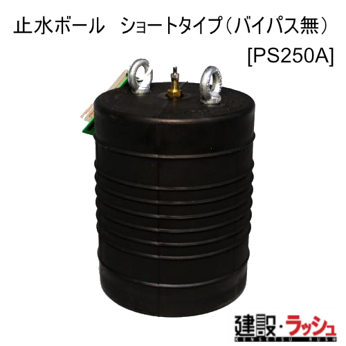 yz[Vz[PS250A](oCpX) ~{[ V[g^Cv ɂl    1010010