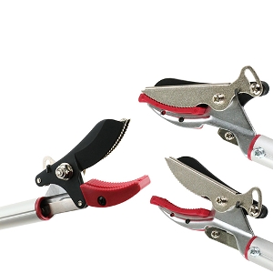 �y��g�z[SGLP-11](4977292685825) �y�ʐL�k���}�����@�@�Q�i�R�l