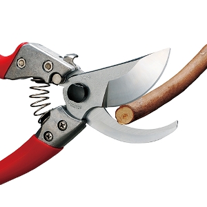 �y�A���X�z[VS-9Z](4965280679239) �������@�u�r�X