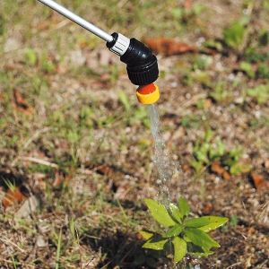 �y�Z�t�e�B�|�R�z[SSD-5H](4977292651639) �n�C�p���[�d�r��������@�T�k