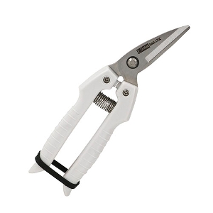 25N8Viyd|uz\݂͂`rCg J[u [EMSL-170C] (4977292129114) J[un prnT~ ސؒf  H  z y vdl Ɩp y I  A~ vX`bNj ؒf Trɂ XeX olt