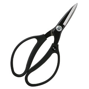 25N8ViygzA [200mm] (4977292616997) SF200mm ؐؒfڈF8mm oT~ H  H vdl Ɩp ϋv I   }Ɨp i { yɐؒfł GXg}[ ̕Sy