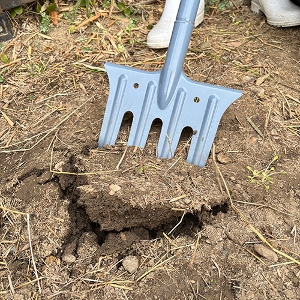 25N8ViygzyNtH[N [SGF-6] (4977292617116) K[ftH[N y  H ~n  z y ϋv I  k  yh肪ǂ ⋭u ݂₷ ̂Xebv d K[fjO |pi