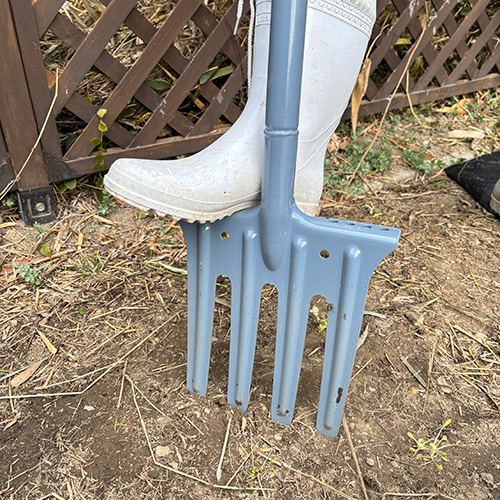 25N8ViygzyNtH[N [SGF-6] (4977292617116) K[ftH[N y  H ~n  z y ϋv I  k  yh肪ǂ ⋭u ݂₷ ̂Xebv d K[fjO |pi