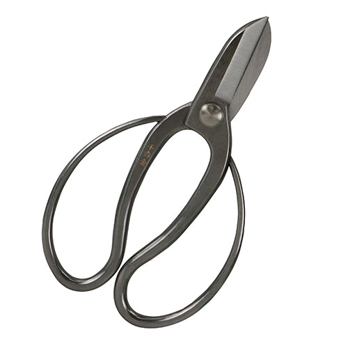 25N8Viyg zXeX × [165MM](4977292624923) A͙ H ϋv I    ؓp Kтɂ ȒP XeX  } Ԑ؂p t[AWg  ł {gibgŒ莮