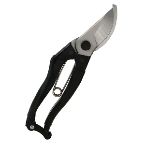 25N8ViygzXeX [SGP-61] (4977292628136) oT~ A͙ H  vdl Ɩp ϋv Kтɂ I  K[fjO ƒ؉ d |pi }؂  }Ɨp Xgbp[t `Obv