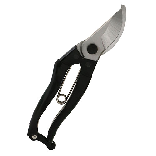 25N8ViygzXeX [SGP-61] (4977292628136) oT~ A͙ H  vdl Ɩp ϋv Kтɂ I  K[fjO ƒ؉ d |pi }؂  }Ɨp Xgbp[t `Obv