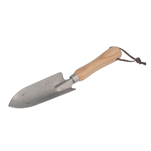 25N8ViygzeXRbv  [SFS-1] (4977292667203) ^XRbv H  y@ | Ɩp ϋv I  yN Aւ d |pi K[fjO ƒ؉ XeX Trɋ y  U[Xgbvt