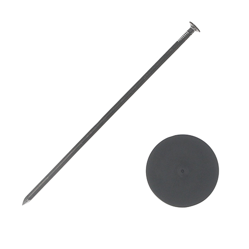 25N8ViyZteB|RzB20cmXChpbg [60zC] (4977292668606) B60{ nՃV[gŒ hV[g hlbg  H   z y Ɩp Œ I  dyɒ@߂ v hV[g hV[gp